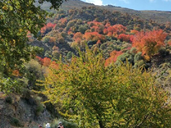 ruta sendero río alhama