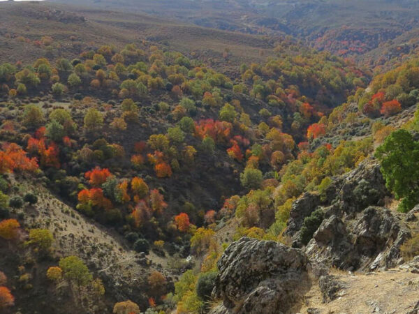 Sendero-Rio-Alhama-Unica-Activa-Diciembre