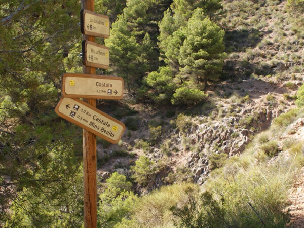 Sendero-Minas-Castala-1