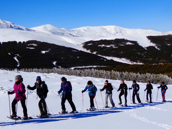Unica-Activa-Raquetas-Nieve