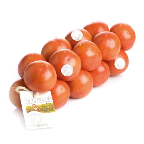 tomate-colgar